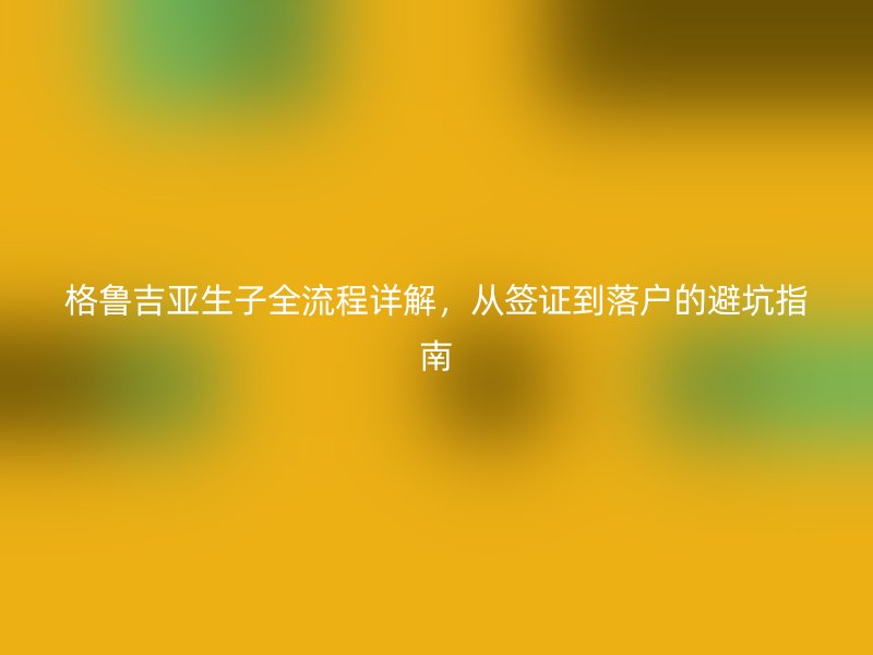 格鲁吉亚生子全流程详解，从签证到落户的避坑指南