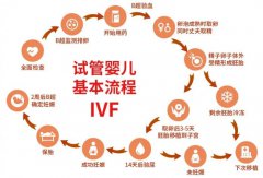 泰国做三代试管婴儿，圆您生育梦想的新选择