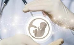 泰国三代试管婴儿费用及成功率解析(花费多少钱明明白白)