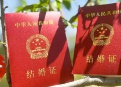 泰国试管婴儿成功率排行榜(三代试管婴儿助孕机构)
