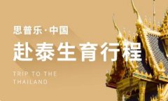 泰国试管婴儿费用，洞悉国际生育医疗服务