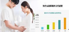 泰国做个试管婴儿多少钱？全面解析费用与流程