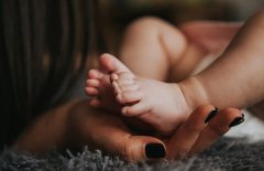美国生柴政策新动向-给老朋友的一点实在参考-2025更新
