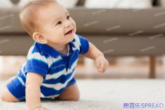 【从第比利斯眺望生命之光：一位助孕顾问的十年见证】