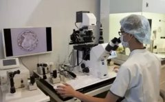 聊聊格鲁吉亚医疗技术怎么样 一个老助孕顾问的真心话