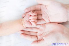 赴美生子双重国籍迷思一位助孕顾问的十年见证与老友支招