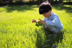 泰国dhc生殖医院好不好-过来人给你掏心窝子说真话