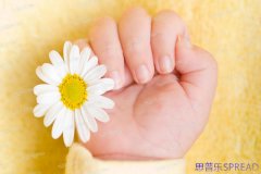 美国生几个孩子有补助-助孕顾问lina给你掏心窝子话