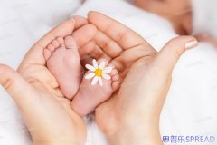 中国家庭去泰国做试管，花多少钱才算心里有底？一位老顾问的真心话