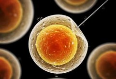 为什么泰国试管婴儿成功率高-一位助孕顾问的真心话