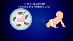 格鲁吉亚试管婴儿费用明细-过来人帮你捋清35万里的每一分花销