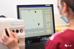 泰国最好的医院怎么选-10年老友助孕顾问的私藏锦囊