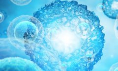 泰国试管全流程避坑指南-10年老友的真心话口袋书