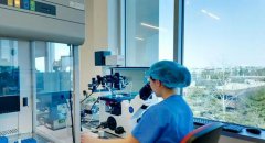 十年陪伴-在曼谷的晨光里等你-聊聊泰国bnh医院的温度