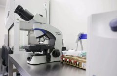 泰国医院试管套餐费用-十年经验顾问的真诚剖析与避坑指南