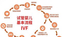 泰国试管医院选择漫谈-一位十年顾问的真心话