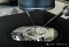 在美国做婴儿试管的这些年，有些掏心窝的话想跟你说