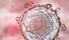 姐妹掏心话-20万预算去泰国试管-这些门道你摸清了吗