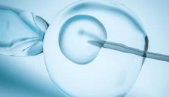 泰国第三代试管避坑指南-10年老友陪你走稳每一步