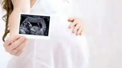 不结婚就不能冻卵-泰国香港政策差异-单身女性的现实抉择