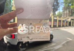 十年陪伴-我亲历的美宝国籍真相-这条路比你想象的更温暖