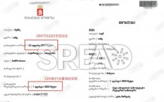 美国试管婴儿多吗-老友lina的贴心支招-带你避开那些坑