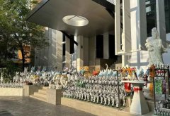 在生命的十字路口-我与你聊聊泰国p-a-i医院这条路