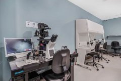 泰国试管婴儿自助平台-一位老友的真诚分享