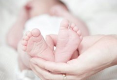 赴格鲁吉亚试管婴儿多少钱-十年助孕顾问掏心窝子说真话