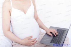 帕雅泰3官网藏着多少未说出口的真相-未婚试管家庭别踩坑