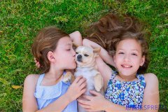 泰国试管机构选择记-一位10年老友的真心话与避坑指南