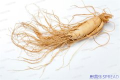 到泰国试管婴儿费用多少？从业12年的老友掏心窝跟你聊聊