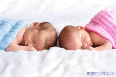 泰国dhc生殖医院好不好-闺蜜视角的深度体验报告