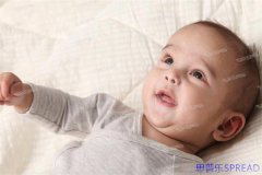 泰国做试管到底要花多少钱-老友lina掏心窝聊聊