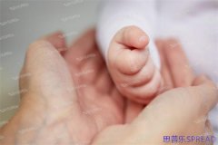 格鲁吉亚未婚助孕-一个从业12年的助孕顾问-想和姐妹们掏心窝子聊聊