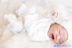 在泰国未婚生子合法吗-一个助孕顾问十年见闻录
