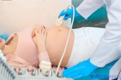 美亚试管这十年一位老友的深夜坦白局