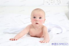 泰国试管十大医院排名背后-从业10年-的助孕顾问-想和你聊聊真心话