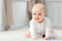 betaplus格鲁吉亚助孕全攻略-十年顾问lina的掏心窝分享