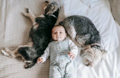 泰国试管双胞胎-老友支招-助你圆梦之路