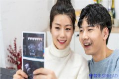 这些年陪客人走过的美国婴儿试管路，有些实话想跟你聊聊