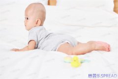 思普乐格鲁吉亚助孕-十年助孕顾问的掏心窝子建议