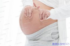 【同性格鲁吉亚助孕政策解读：爱与边界的温柔航行】