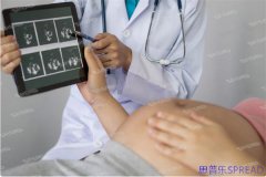 格鲁吉亚辅助生殖新政策是什么版本-助孕顾问lina的掏心窝解读