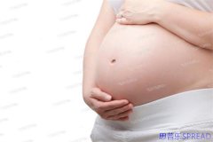 格鲁吉亚试管助孕多少费用-十年顾问用真实案例说透那些事