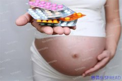 格鲁吉亚试管医院排名-助孕顾问lina的十年观察手记