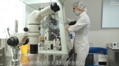 曼谷yanhee医院十年顾问手记-老友私藏的助孕避坑地图