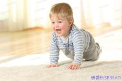 美国试管婴儿多少钱？20年助孕顾问Lina跟你说点实在的