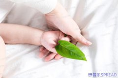 去格鲁吉亚需要多少钱-十年助孕顾问的掏心窝建议