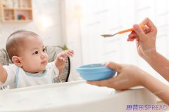 格鲁吉亚单身生育合法吗？从业10年的老友给你支个招